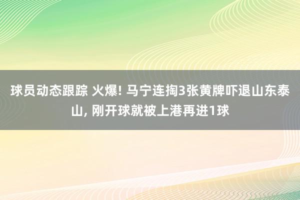 球员动态跟踪 火爆! 马宁连掏3张黄牌吓退山东泰山, 刚开球就被上港再进1球