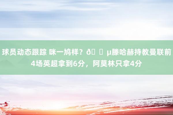 球员动态跟踪 咪一鸠样？😵滕哈赫持教曼联前4场英超拿到6分，阿莫林只拿4分