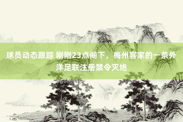 球员动态跟踪 刚刚23点阁下，梅州客家的一条外洋足联注册禁令灭绝