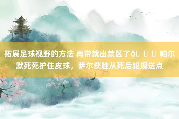 拓展足球视野的方法 再带就出禁区了😂帕尔默死死护住皮球，萨尔获胜从死后犯规送点