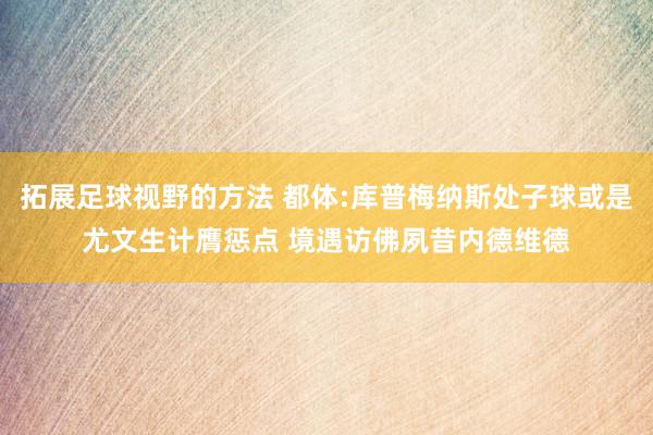 拓展足球视野的方法 都体:库普梅纳斯处子球或是尤文生计膺惩点 境遇访佛夙昔内德维德