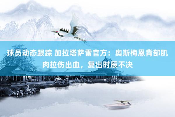 球员动态跟踪 加拉塔萨雷官方：奥斯梅恩背部肌肉拉伤出血，复出时辰不决