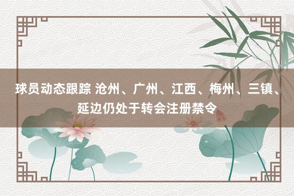 球员动态跟踪 沧州、广州、江西、梅州、三镇、延边仍处于转会注册禁令