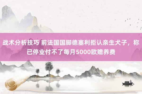 战术分析技巧 前法国国脚德塞利拒认亲生犬子，称已停业付不了每月5000欧赡养费