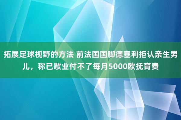 拓展足球视野的方法 前法国国脚德塞利拒认亲生男儿，称已歇业付不了每月5000欧抚育费