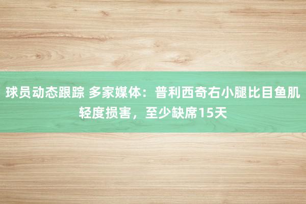 球员动态跟踪 多家媒体：普利西奇右小腿比目鱼肌轻度损害，至少缺席15天