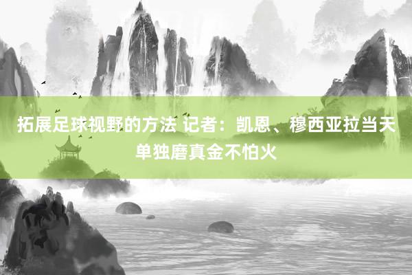 拓展足球视野的方法 记者：凯恩、穆西亚拉当天单独磨真金不怕火