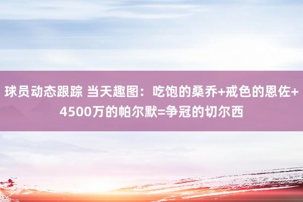 球员动态跟踪 当天趣图：吃饱的桑乔+戒色的恩佐+4500万的帕尔默=争冠的切尔西