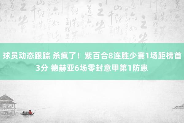 球员动态跟踪 杀疯了！紫百合8连胜少赛1场距榜首3分 德赫亚6场零封意甲第1防患