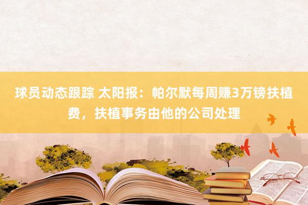 球员动态跟踪 太阳报：帕尔默每周赚3万镑扶植费，扶植事务由他的公司处理