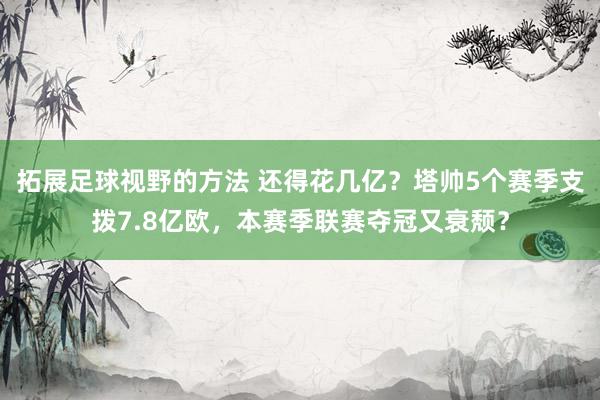 拓展足球视野的方法 还得花几亿？塔帅5个赛季支拨7.8亿欧，本赛季联赛夺冠又衰颓？