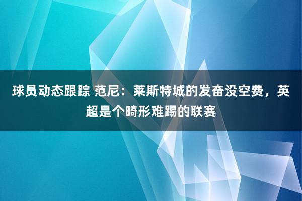 球员动态跟踪 范尼：莱斯特城的发奋没空费，英超是个畸形难踢的联赛