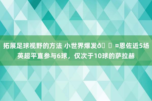 拓展足球视野的方法 小世界爆发😤恩佐近5场英超平直参与6球，仅次于10球的萨拉赫