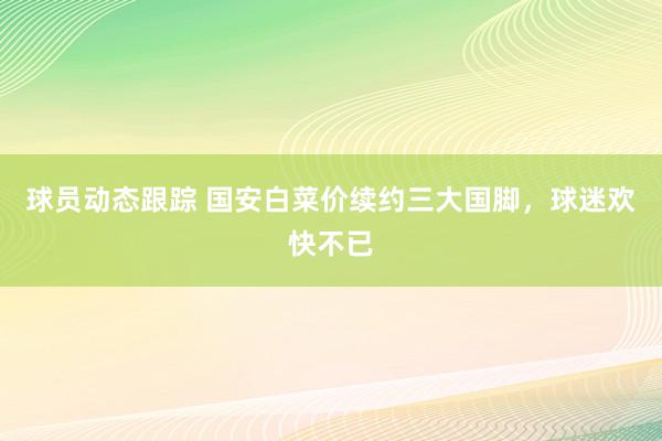 球员动态跟踪 国安白菜价续约三大国脚，球迷欢快不已