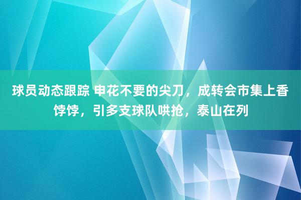 球员动态跟踪 申花不要的尖刀，成转会市集上香饽饽，引多支球队哄抢，泰山在列