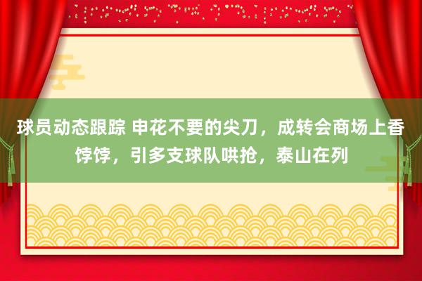 球员动态跟踪 申花不要的尖刀，成转会商场上香饽饽，引多支球队哄抢，泰山在列