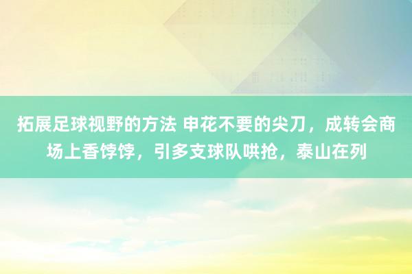 拓展足球视野的方法 申花不要的尖刀，成转会商场上香饽饽，引多支球队哄抢，泰山在列